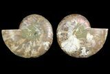 Agate Replaced Ammonite Fossil - Madagascar #150903-1